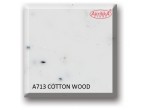 A713 Cotton wood