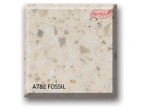 A782 Fossil